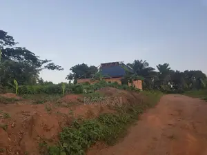 A Plot of Land for Rent