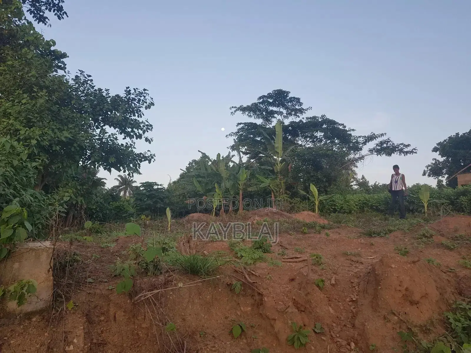 A Plot of Land for Rent