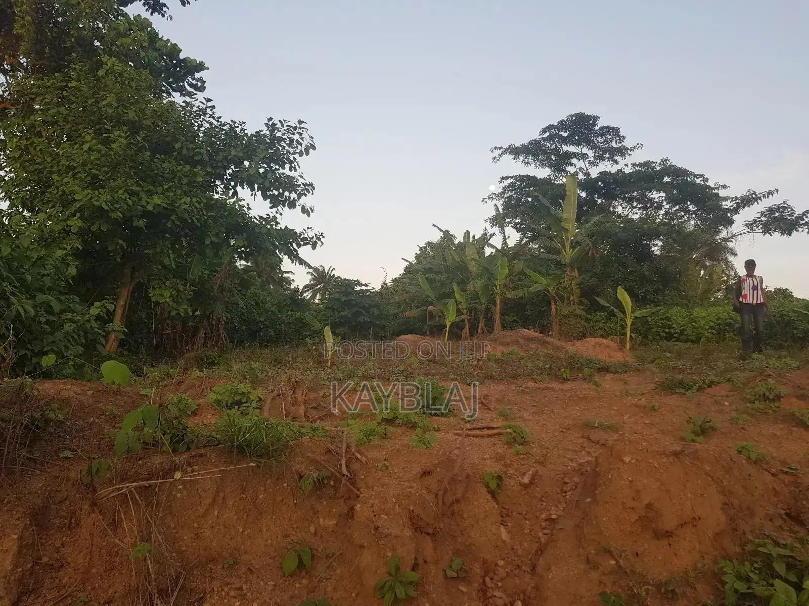A Plot of Land for Rent
