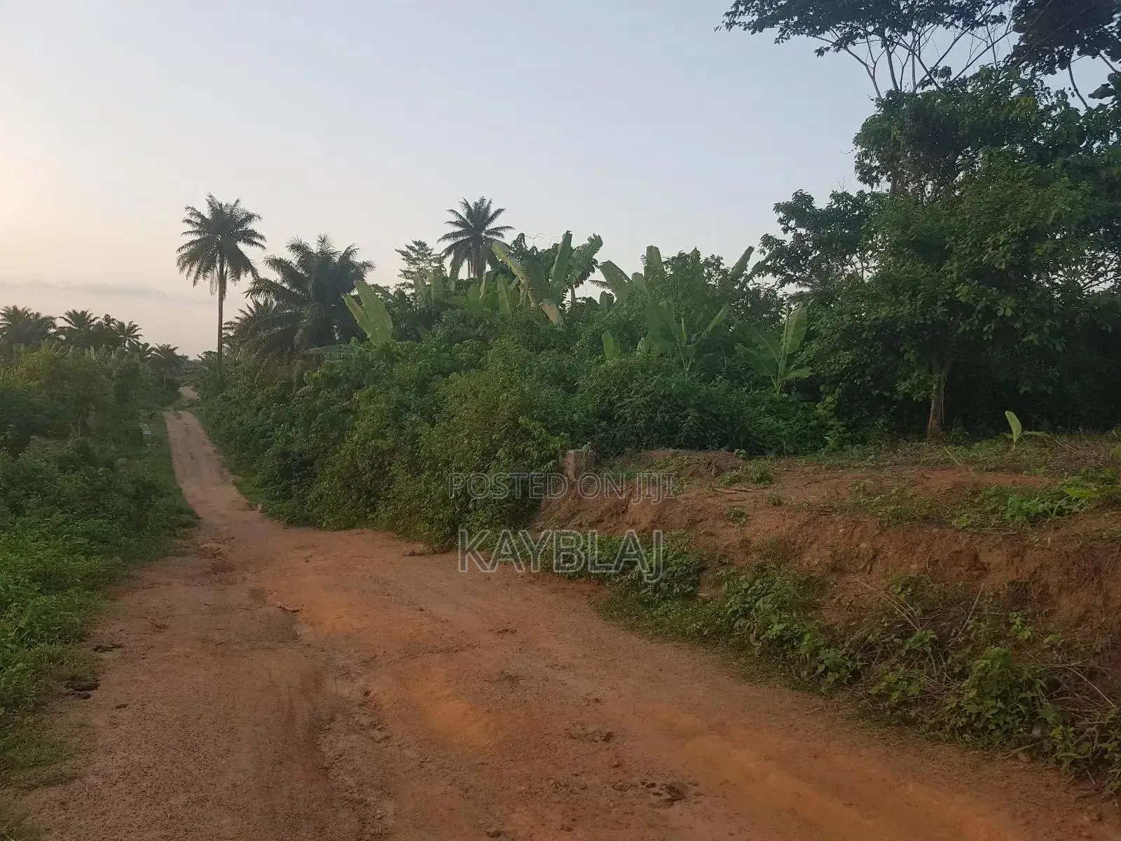 A Plot of Land for Rent
