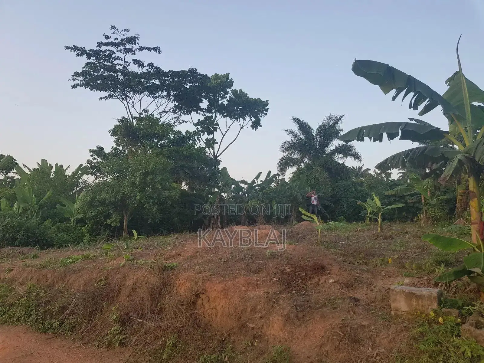 A Plot of Land for Rent