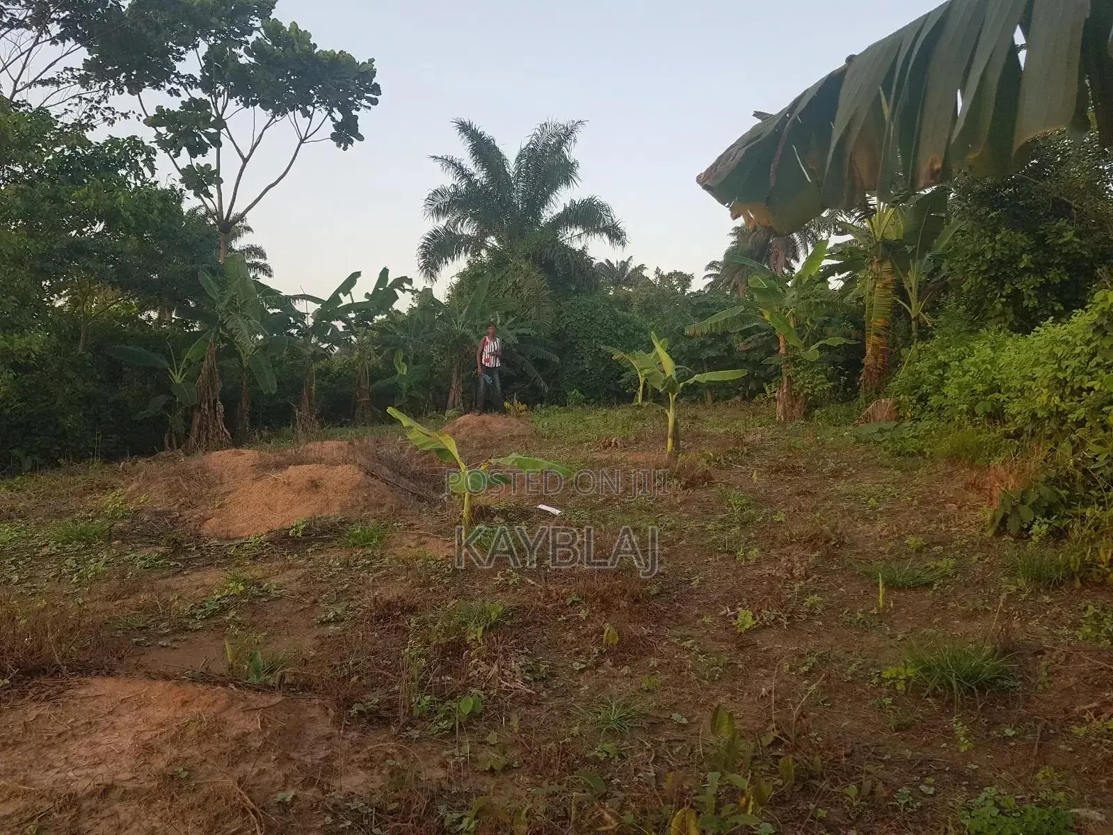 A Plot of Land for Rent