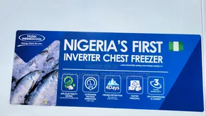 Thermocool Inverter Freezer