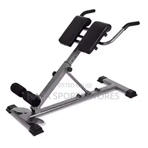 Adjustable Back Extension Roman Chair