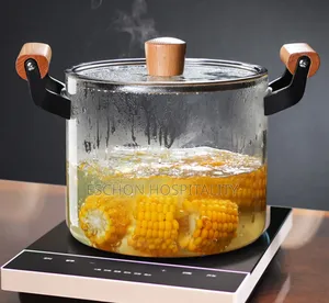 Heat Resistant Clear Glass Cooking Pot 4.5l