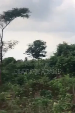 50acres of Land at Kajola/Alafon Close to Osogbo