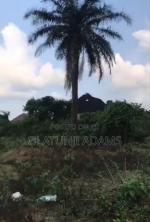 50acres of Land at Kajola/Alafon Close to Osogbo