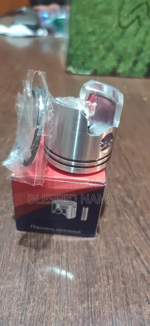 430 Piston and Rings