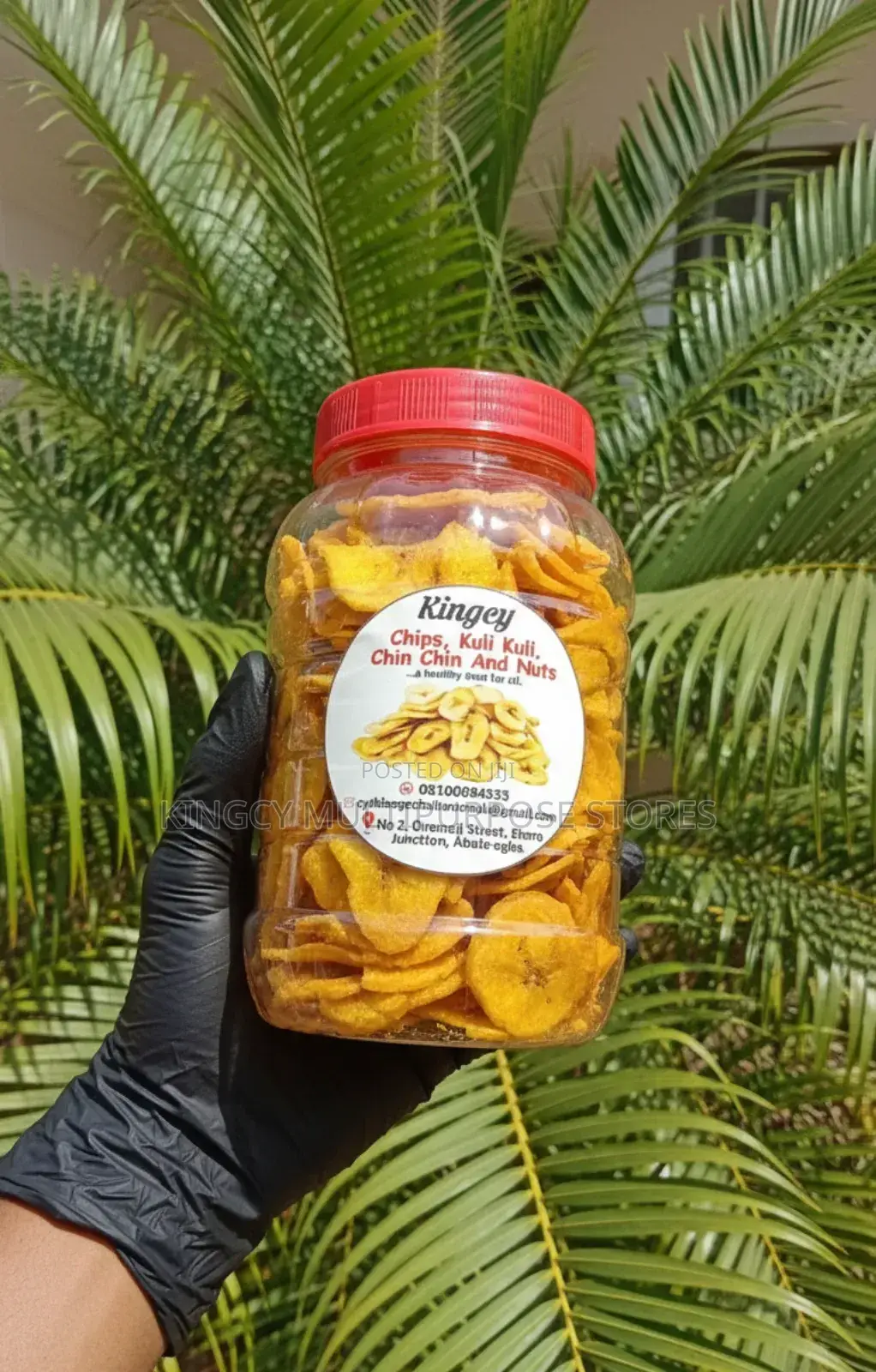 Crunchy Plantain Chips