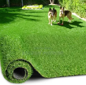 Beautiful Grass Carpet Sold in Square Meter and Bundle