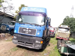 Man Truck 8tyres