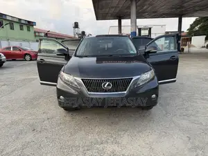 Lexus RX 350 2010 Gray