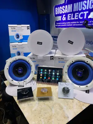 Bose Speaker Smart Wall Amplifier Volume Control