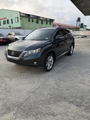 Lexus RX 350 2010 Gray