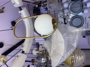 Ceiling Mounted Single Drop