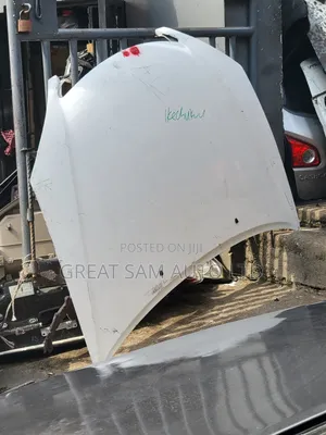 Lexus Es 330 04 Model Bonnet Empty