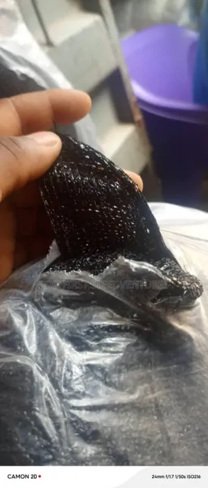 Black Dcalfolding Net