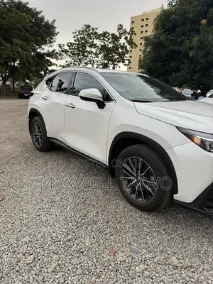 New Lexus NX 2025 White