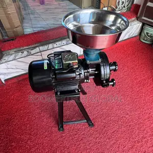 Industrial Wet and Dry Grinder