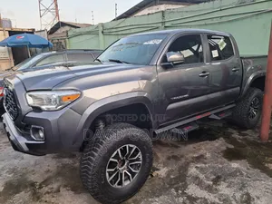 Toyota Tacoma 2019 Gray