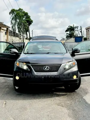 Lexus RX 2010 Gray