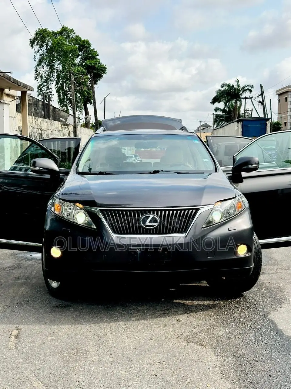 Lexus RX 2010 Gray