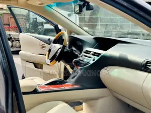 Lexus RX 2010 Gray
