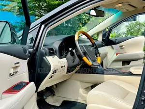 Lexus RX 2010 Gray