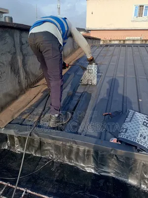 Meticulous Leak- Proofing Expert