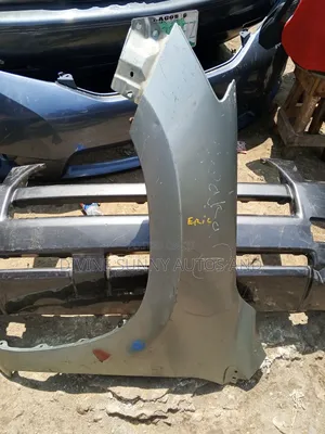 Rav4 2010 Fender