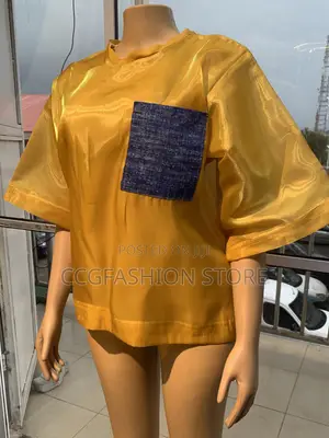 Gold Color Organza Top