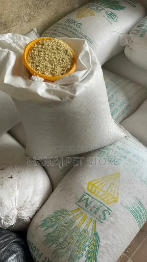 Dog Noodles