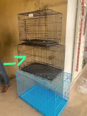 Dog Cage of All Size Available