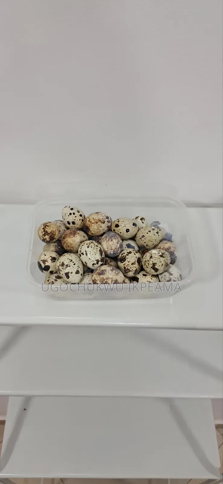Fresh Quail Eggs, Direct From Farm.