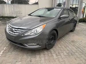 Hyundai Sonata 2012 Gray