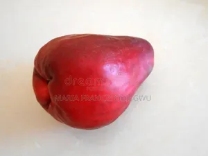 Apple Plant