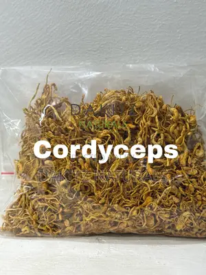 Cordycep Militaris Mushrooms 1kg