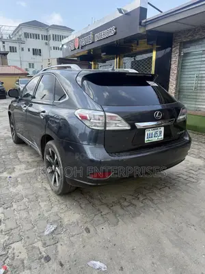 Lexus RX 350 2010 Gray