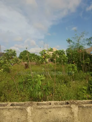 FLL Plot of Land for Sale