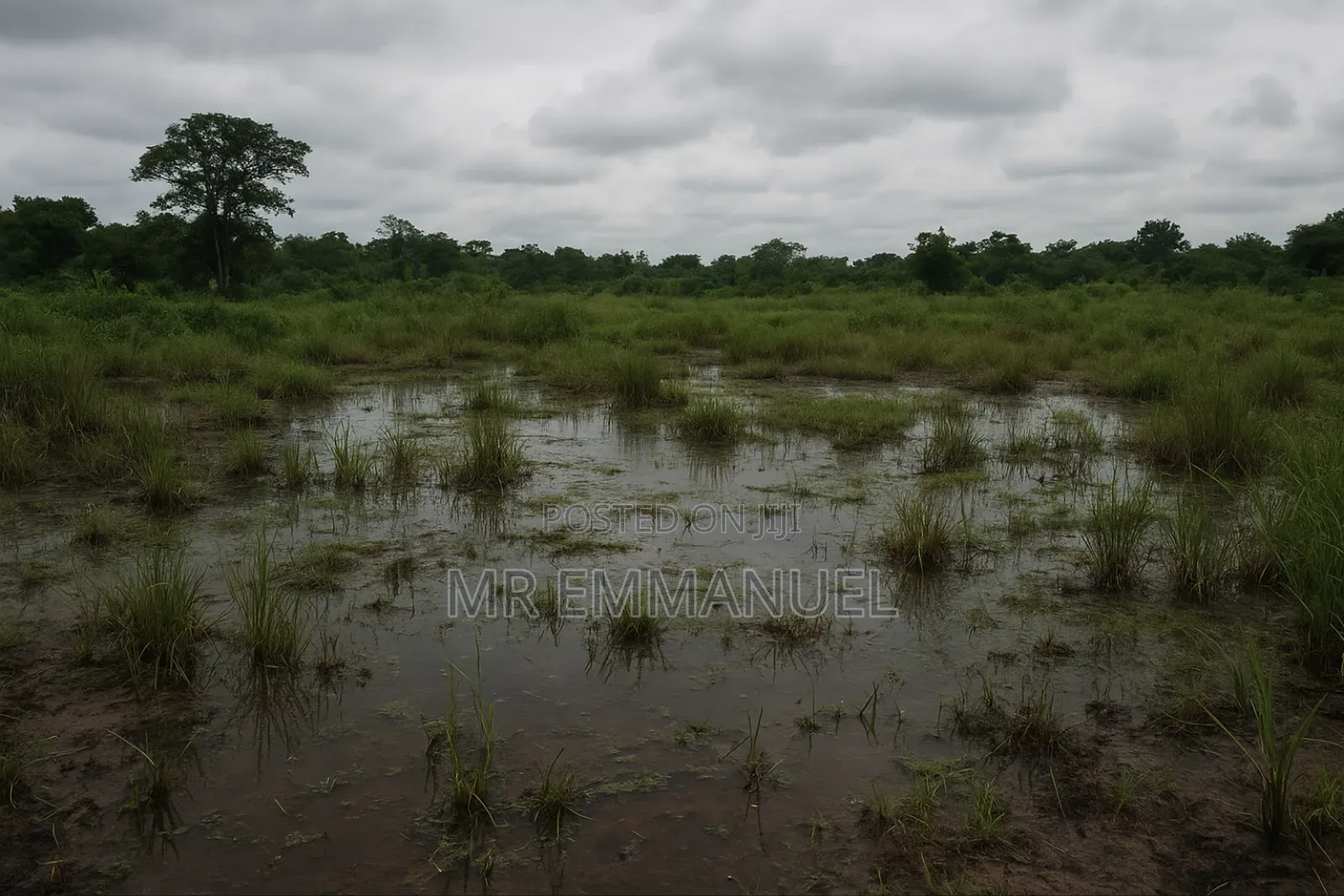 Land Reclamation Services