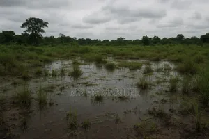 Land Reclamation Services