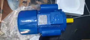 Original Brand New 4hp Single Phase 2800rpm Electric Motor 220v