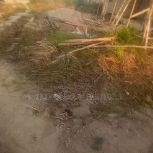 Half Plot for Sale at Unity Estate Badore Ajah Lekki