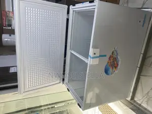 Yohako Solar Chest Freezer 318l Ac/Dc