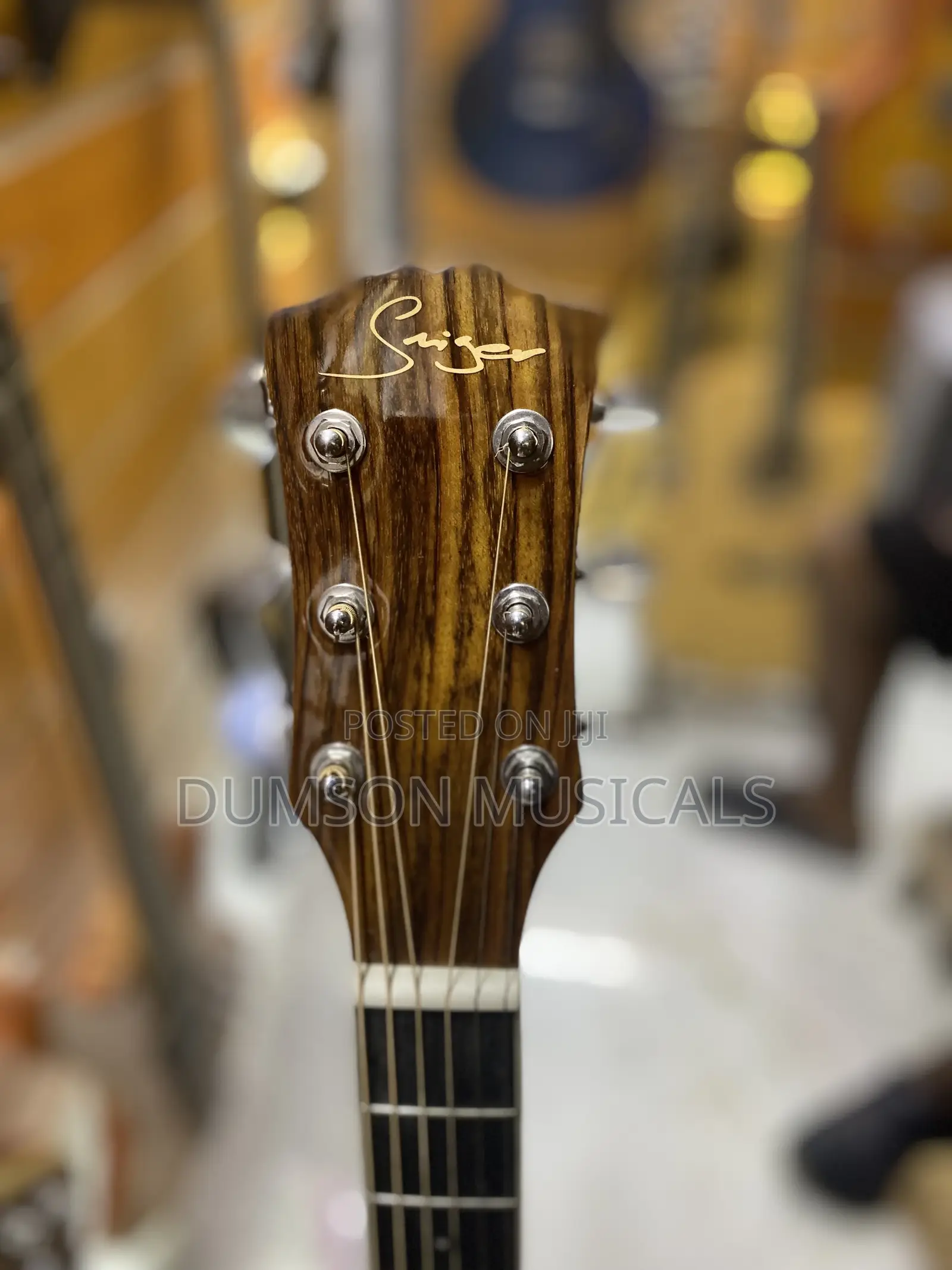 Electroacoustic Guitar, Smiger Electroacoustic Guitar