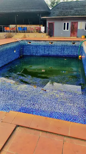 Pool Maintenance