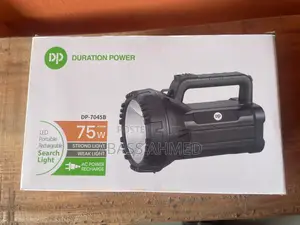 Security Torch Light