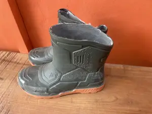 Short Rainboot