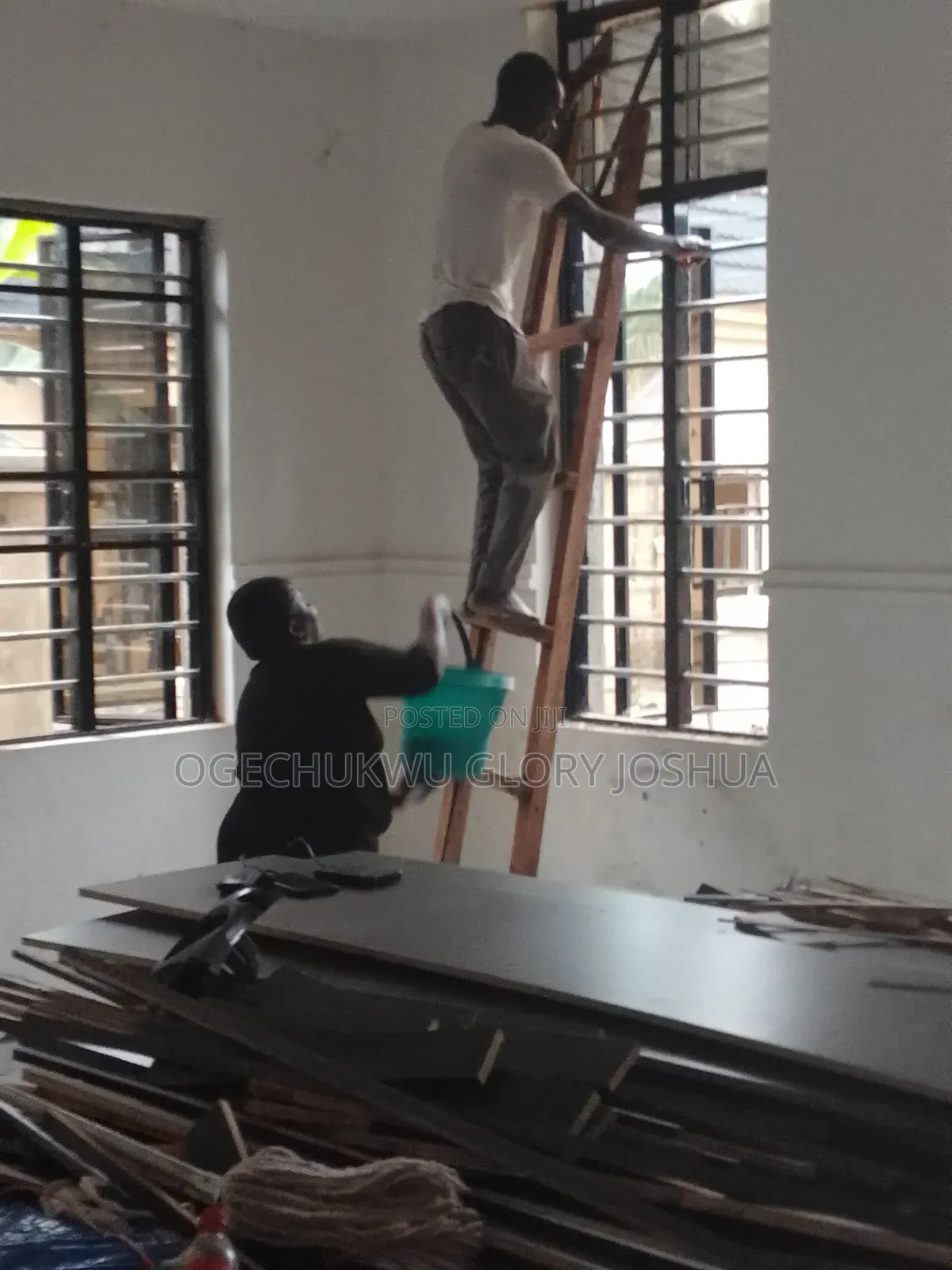 Professional Cleaning Services