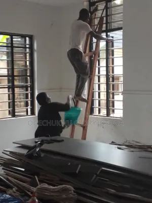 Professional Cleaning Services